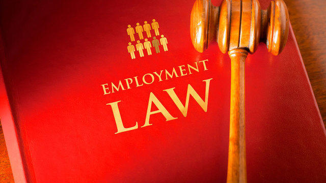 Employment law book