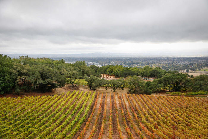 Winery in Santa Rosa, California